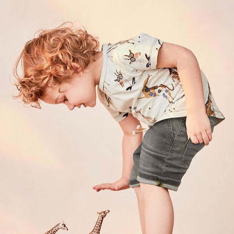 Boys giraffe t-shirt & shorts