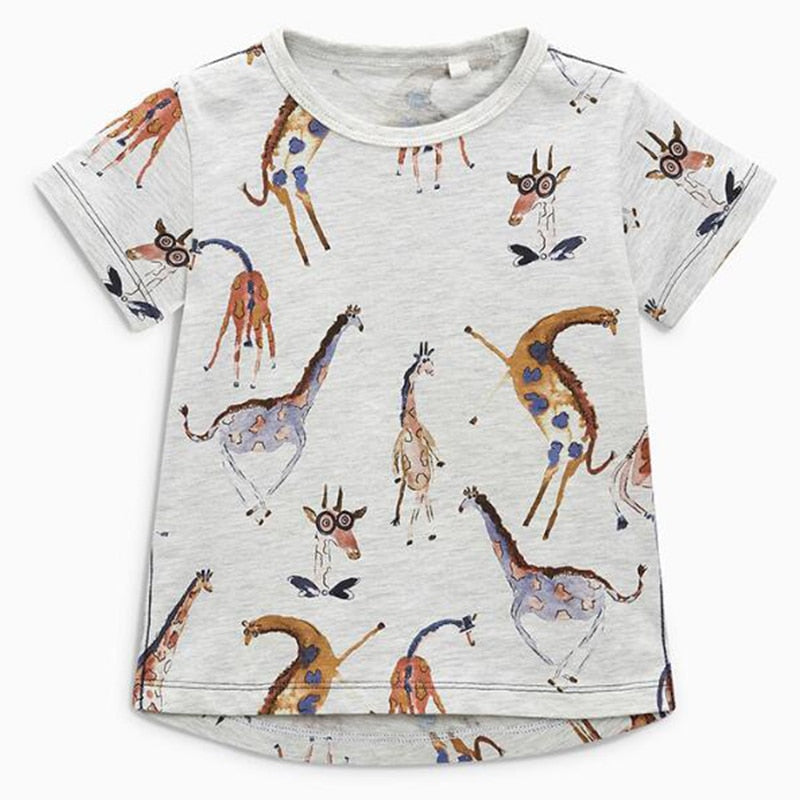 Boys giraffe t-shirt & shorts