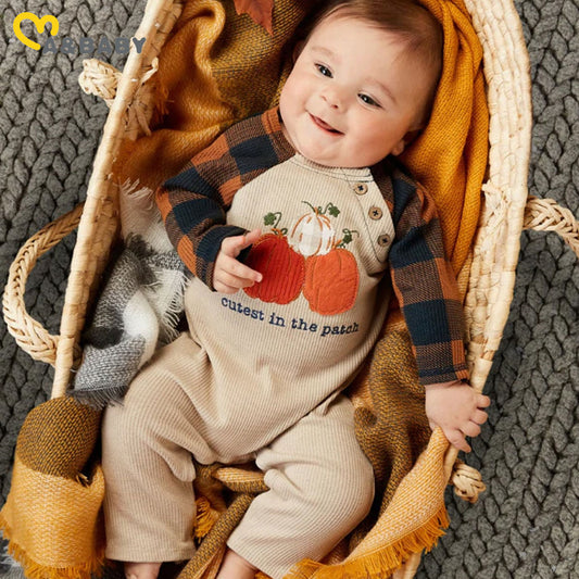 Baby boys Autumn outfit